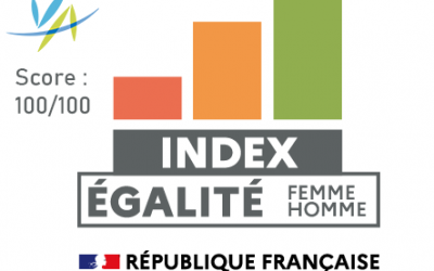 Index égalité professionnelle 2020